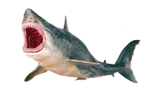 Megalodon Prehistoric Shark Model Figure Toy