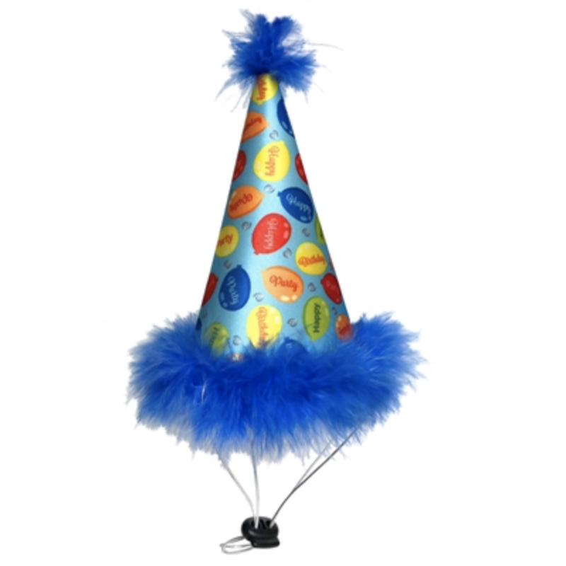 Blauer Party-Time-Kegel-Haustierhut – Huxley &amp; Kent