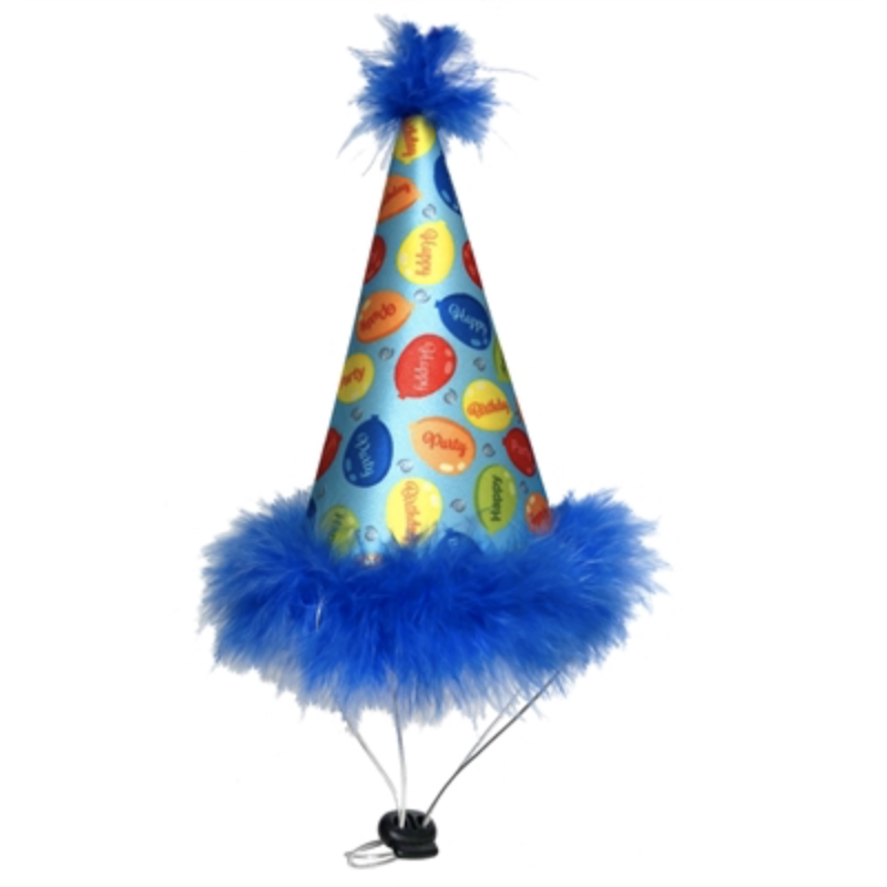 Blue Party Time Cone Pet Hat - Huxley & Kent