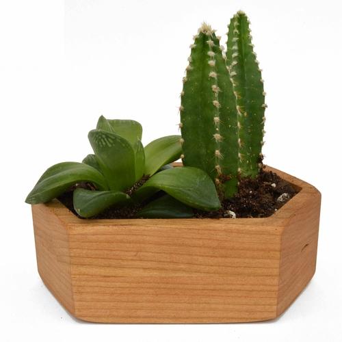 Wooden Succulent Planter