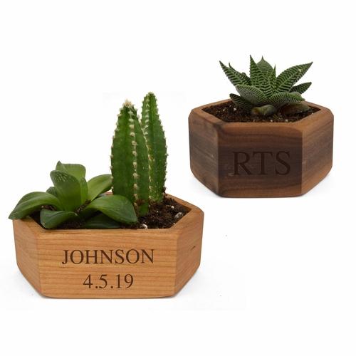 Wooden Succulent Planter