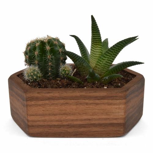 Wooden Succulent Planter